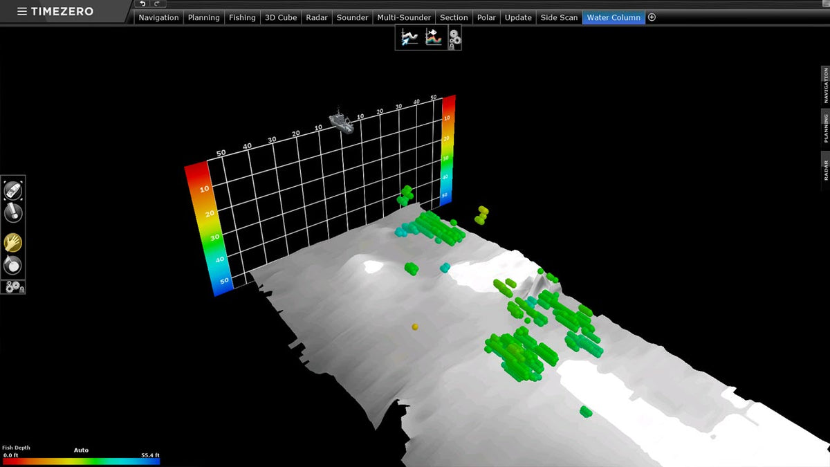 DFF3D Module in the bundle: 3D water column view showing fish targets above the seabed